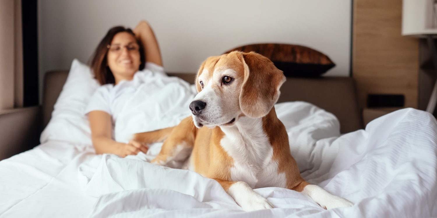 WE WELCOME YOU AND YOUR FURRY FRIEND 
TO THE BEST PET-FRIENDLY SANTA CRUZ HOTEL